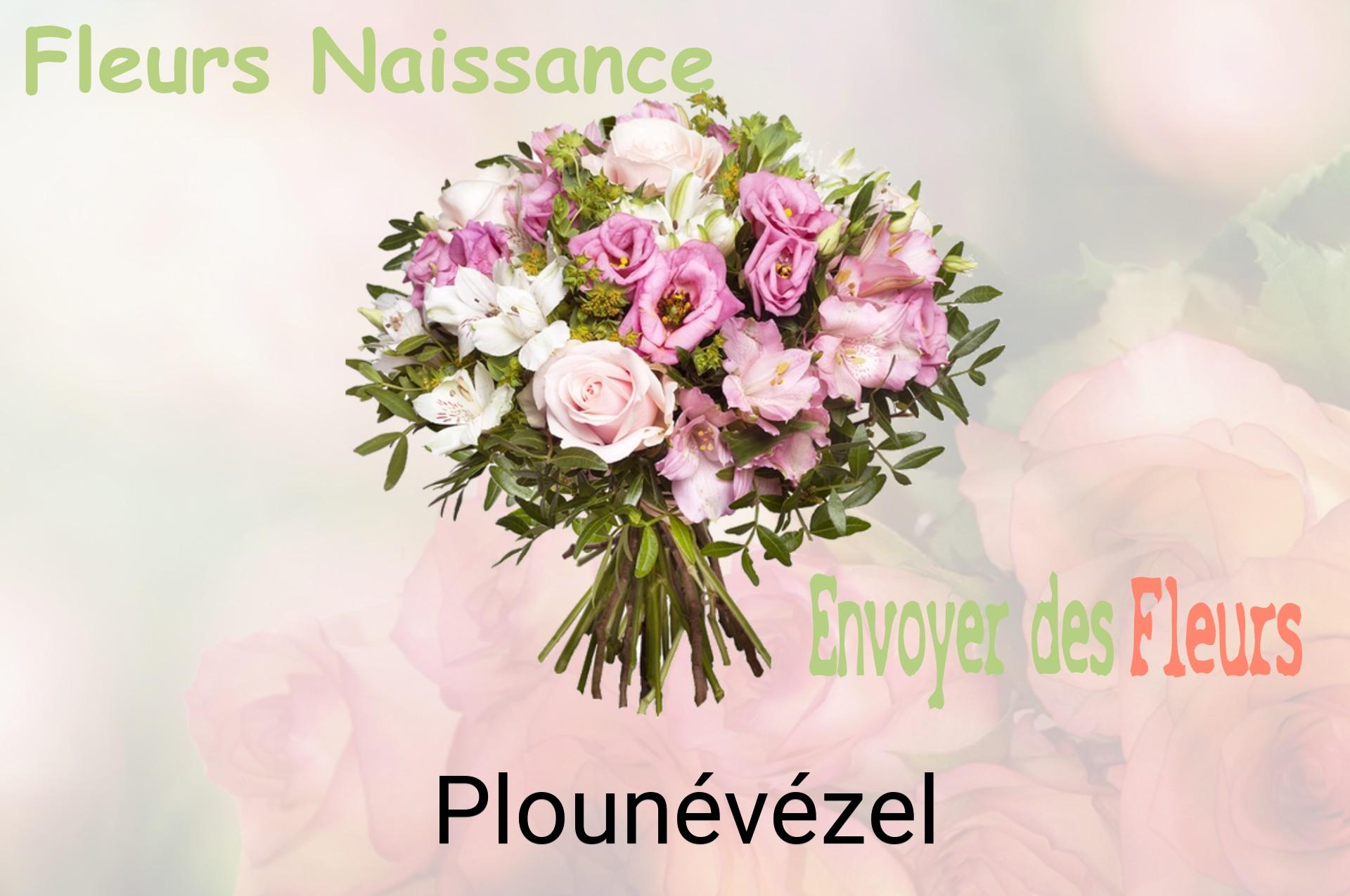 Bouquet de fleurs de naissance livré à Plounévézel